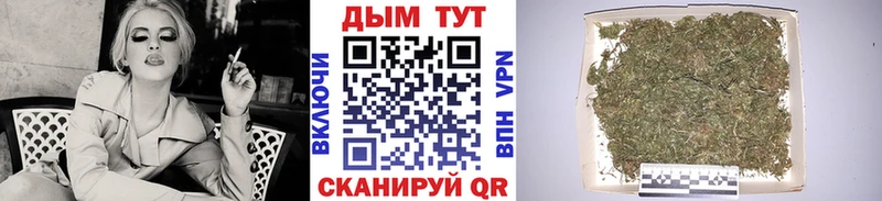 Где найти наркотики Чудово СК Кокаин Гашиш Меф Марихуана