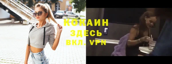 дмт Арсеньев